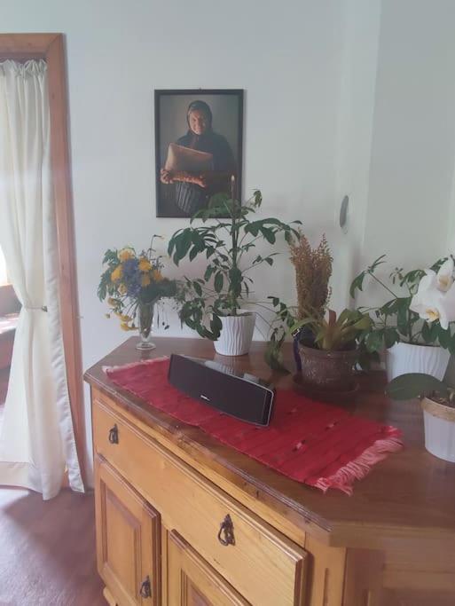 Cemerno Cottage Gacko Zewnętrze zdjęcie